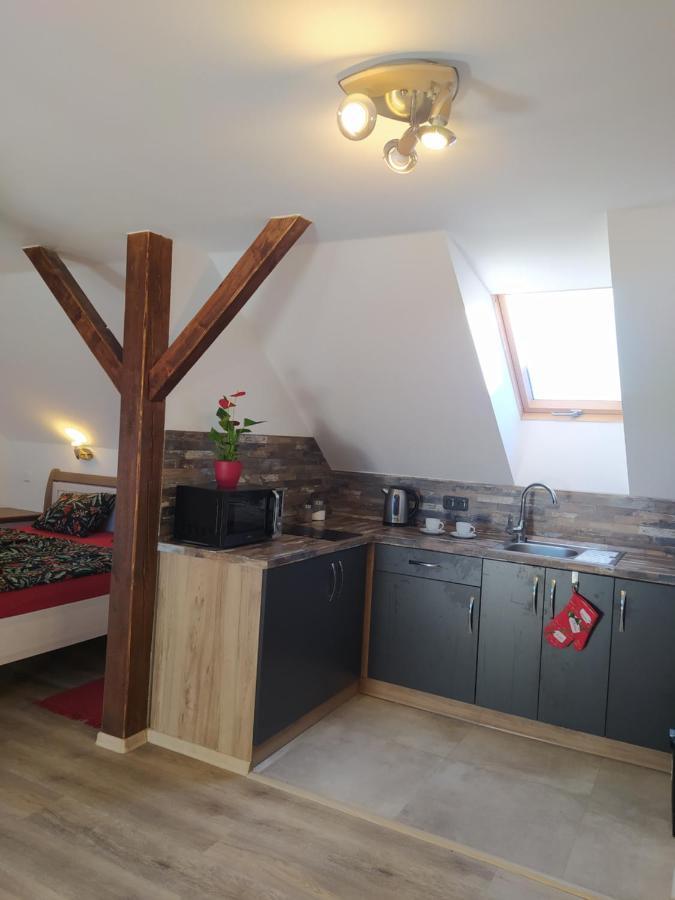 Podkrovni Apartman Pololan U Rybnika Nová Ves Zewnętrze zdjęcie